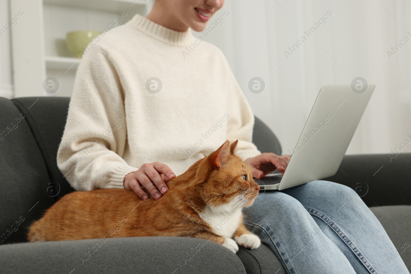 Photo of Woman working with laptop and petting cute cat on sofa at home, closeup