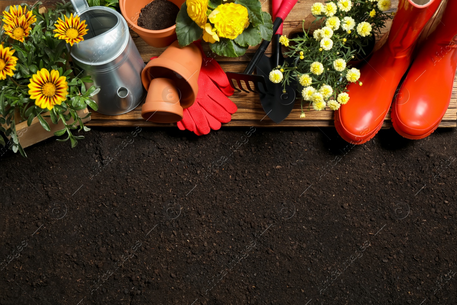 Photo of Flat lay composition with gardening equipment and flowers on soil, space for text