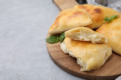 Photo of Delicious samosas and basil on grey table, closeup. Space for text