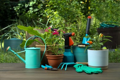 Beautiful plants and gardening tools on wooden table at backyard