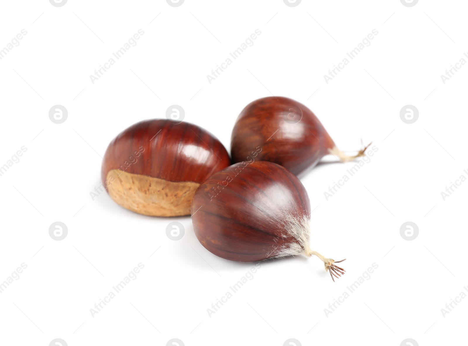 Photo of Fresh sweet edible chestnuts on white background