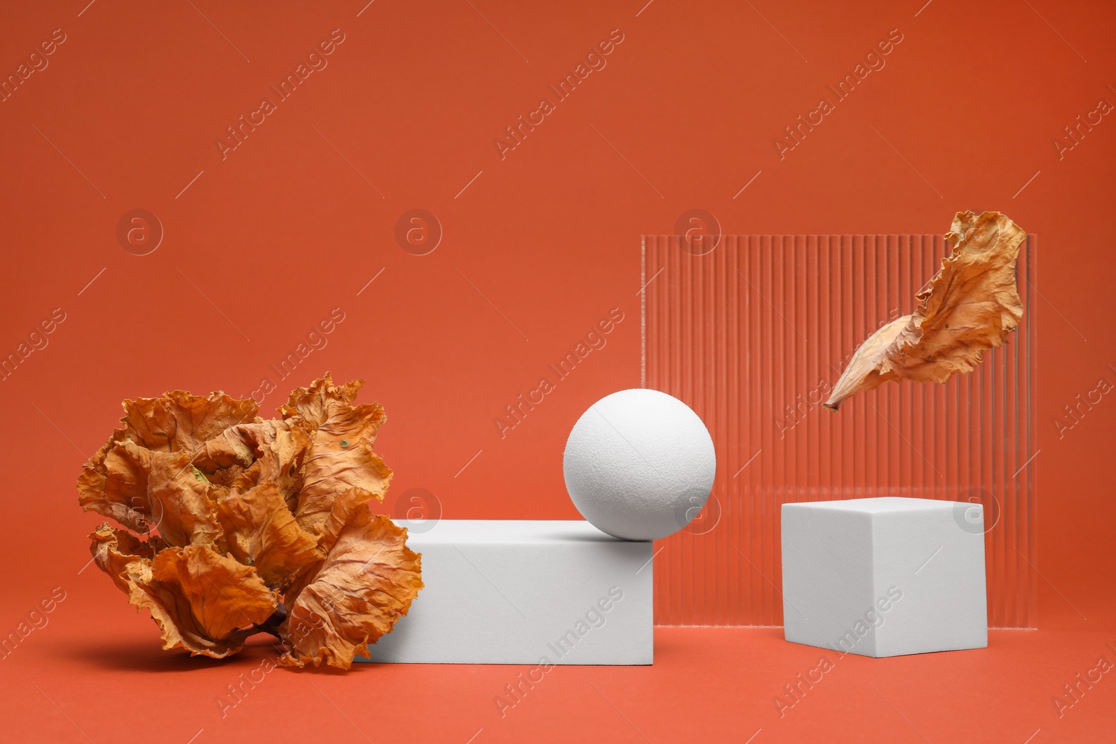 Photo of Autumn presentation for product. Geometric figures and dry leaves on terracotta background