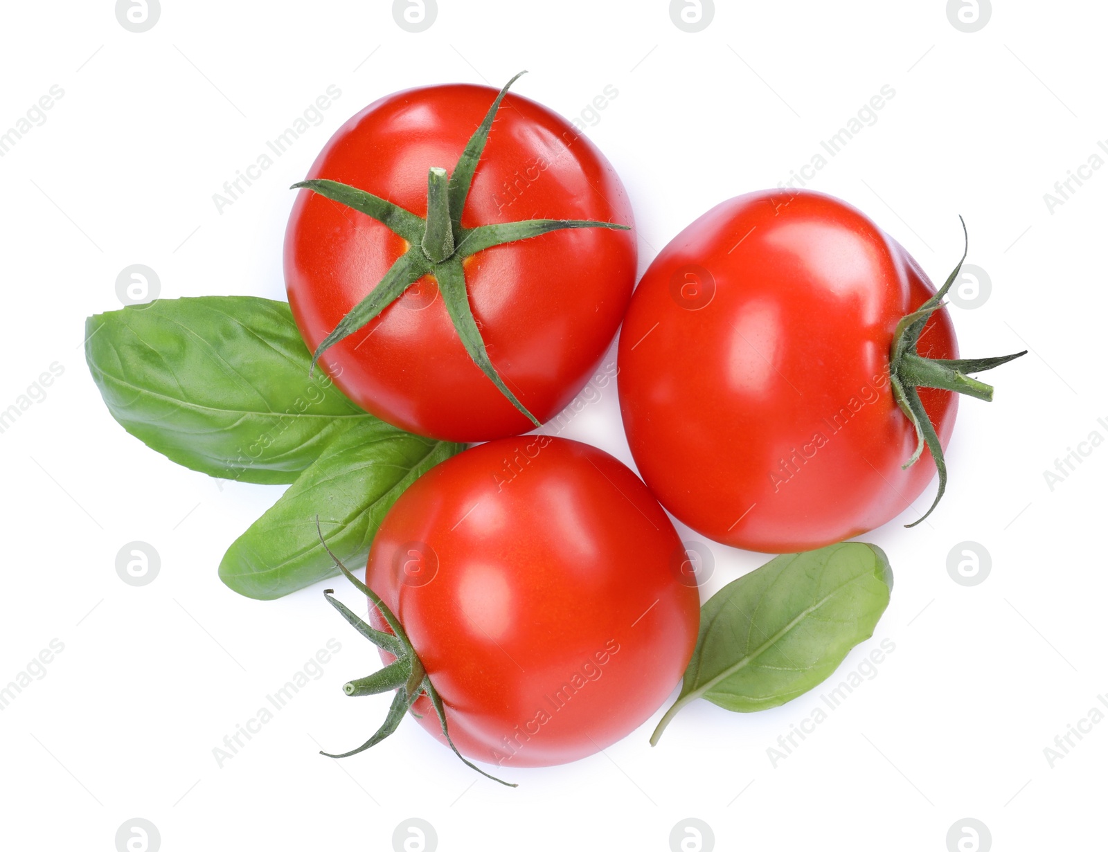 Photo of Fresh green basil leaves and tomatoes on white background, top view