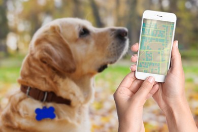 Image of Application to find pet by identification chip. Woman using smartphone near dog with collar outdoors, closeup