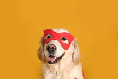 Adorable dog in superhero mask on yellow background