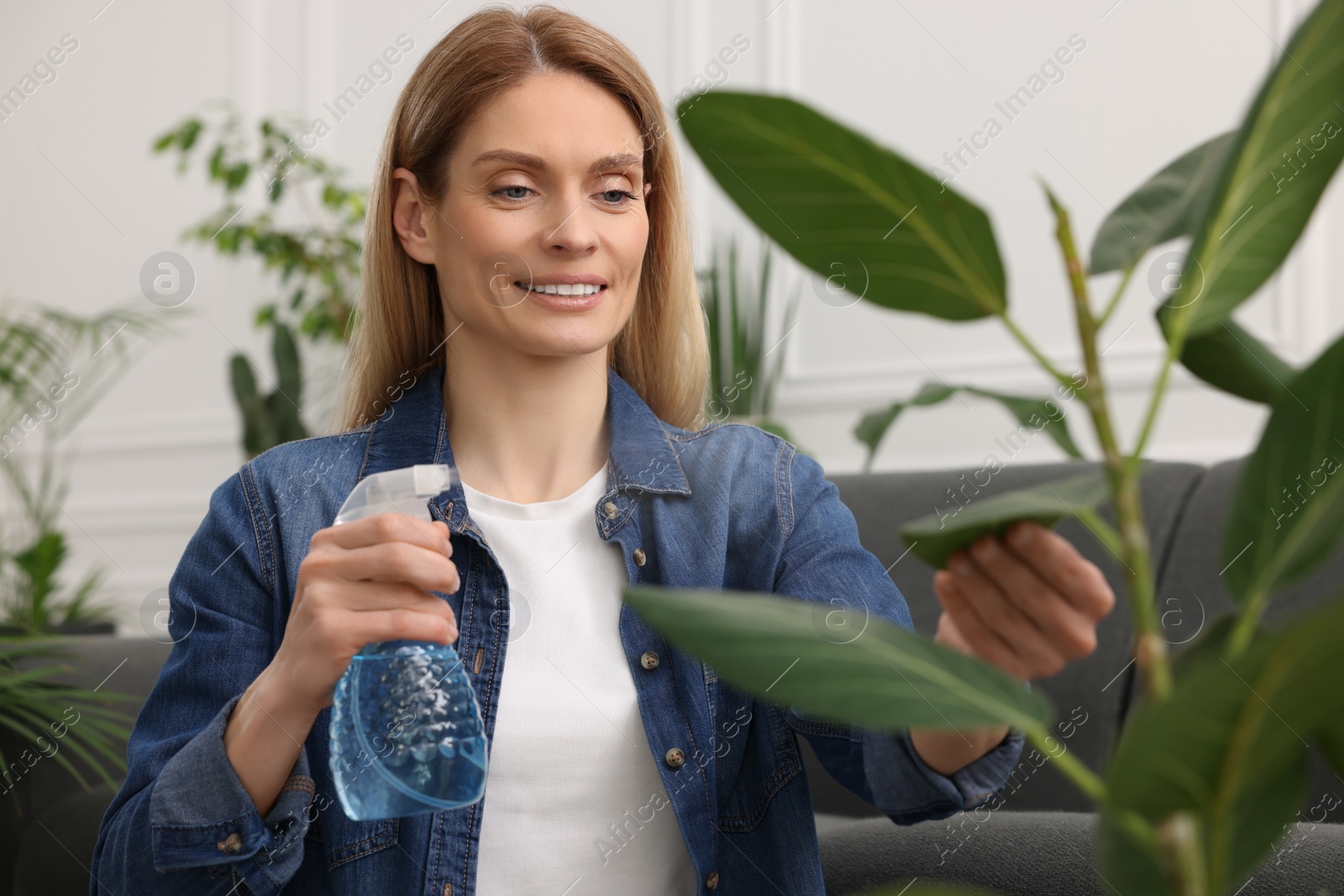 Photo of Woman spraying beautiful houseplants with water at home