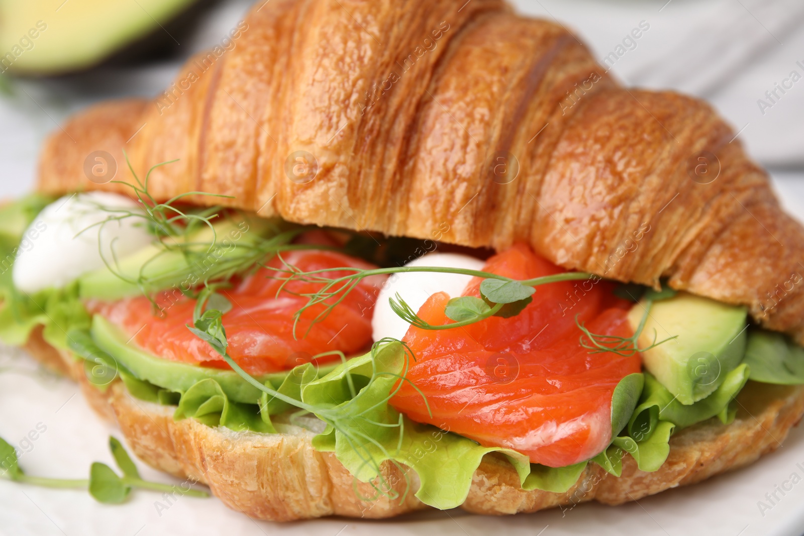 Photo of Tasty croissant with salmon, avocado, mozzarella and lettuce on white table, closeup