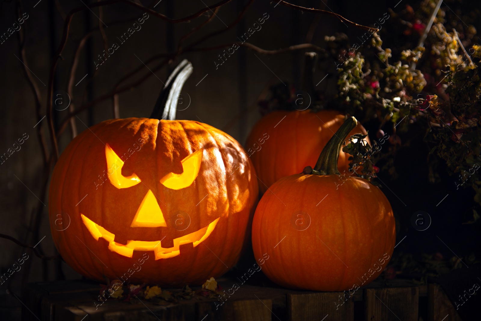 Photo of Scary jack o'lantern pumpkin on wooden bench in darkness. Halloween decor