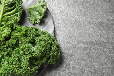 Photo of Fresh kale leaves on grey table, top view. Space for text