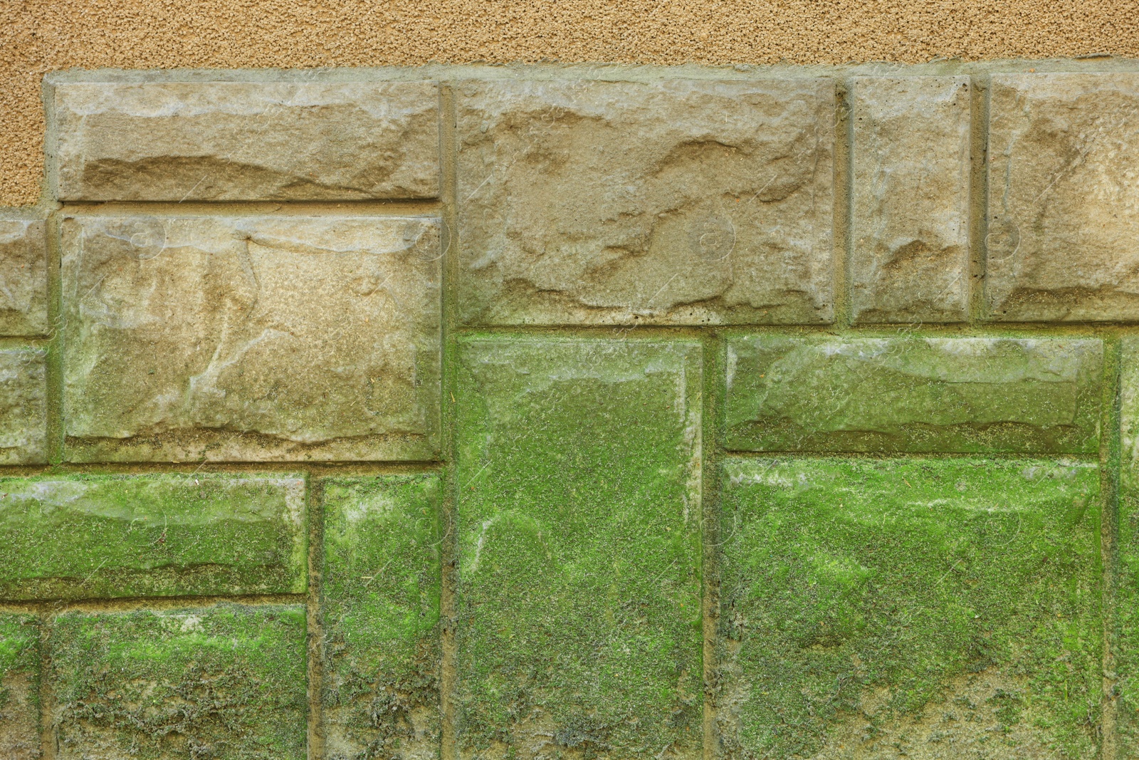 Photo of View of stone wall with green moss as background, closeup