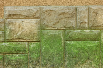 View of stone wall with green moss as background, closeup