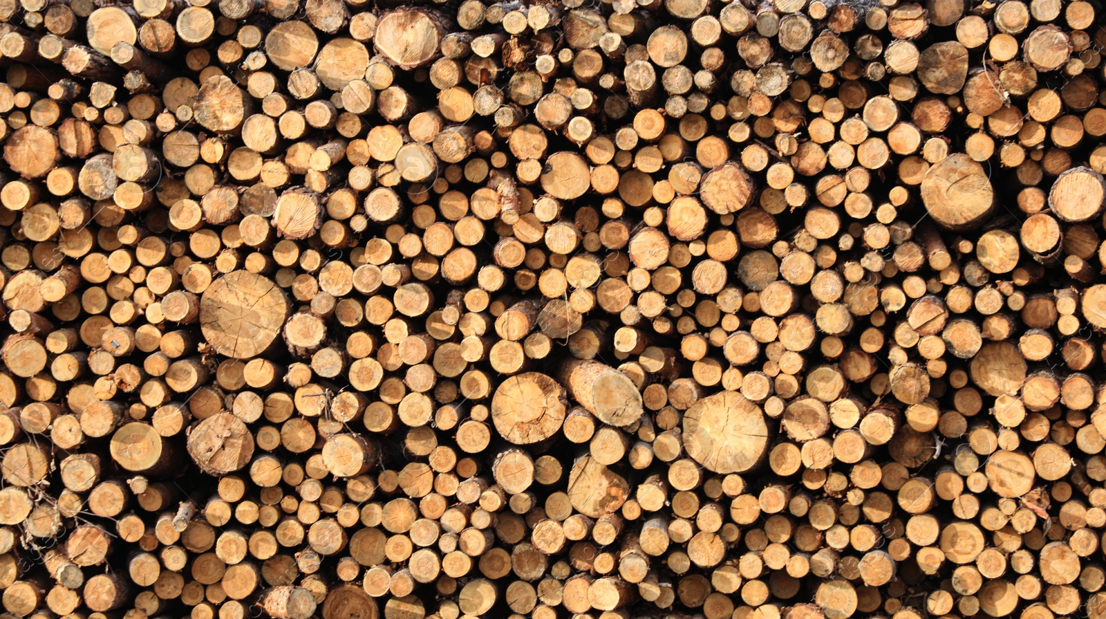 Photo of Stacked firewood as background. Heating house in winter