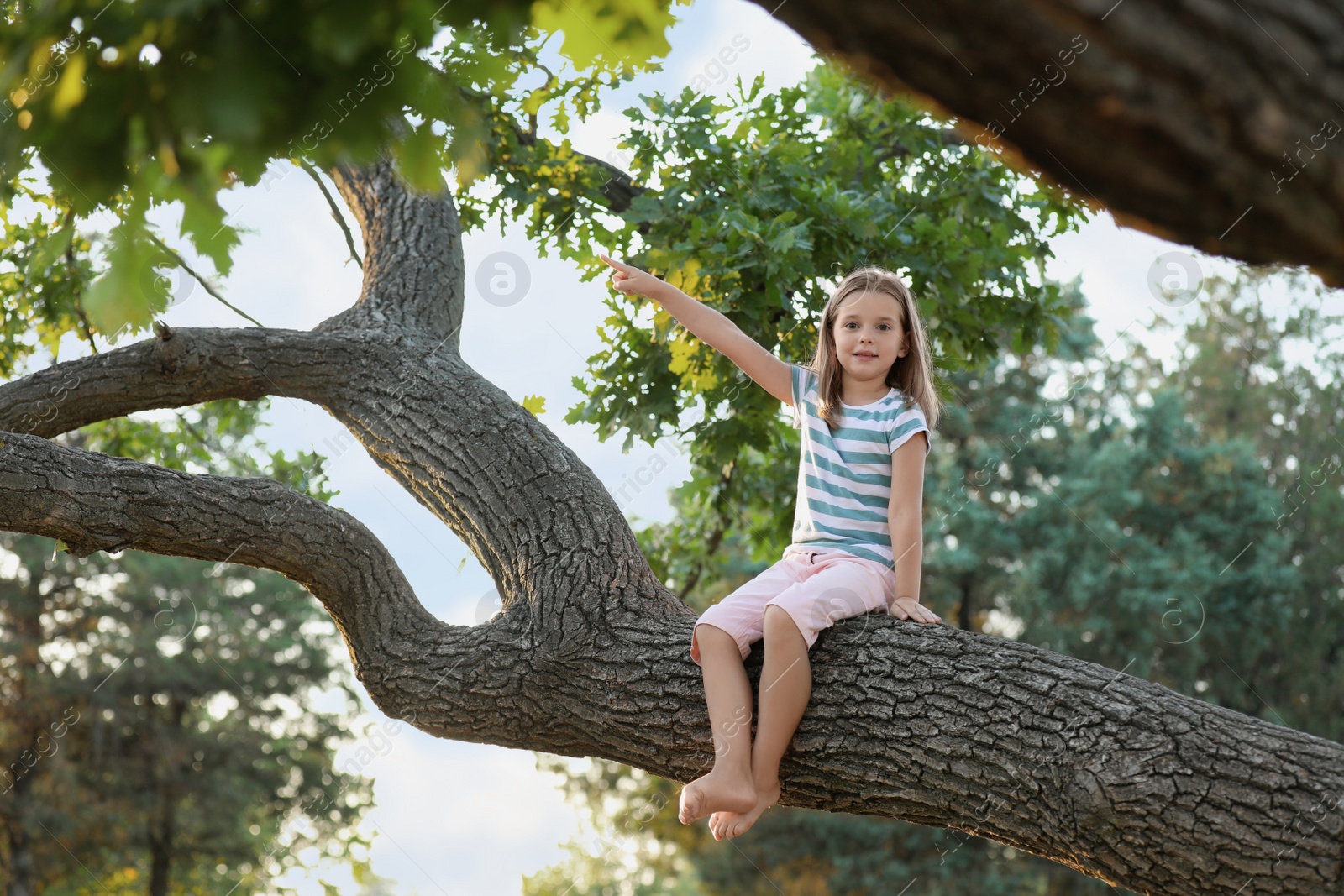 Photo of Cute little girl sitting on tree outdoors. Child spending time in nature