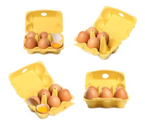 Image of Brown chicken eggs in egg cartons isolated on white, set