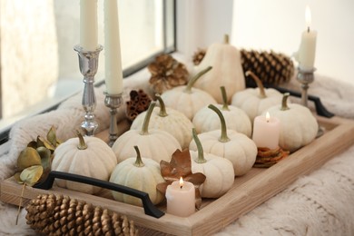 Photo of Composition with white pumpkins and burning candles on window sill indoors