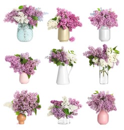 Collage with beautiful lilac flowers in vases on white background