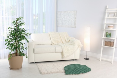 Photo of Stylish living room interior with sofa and houseplant near white wall