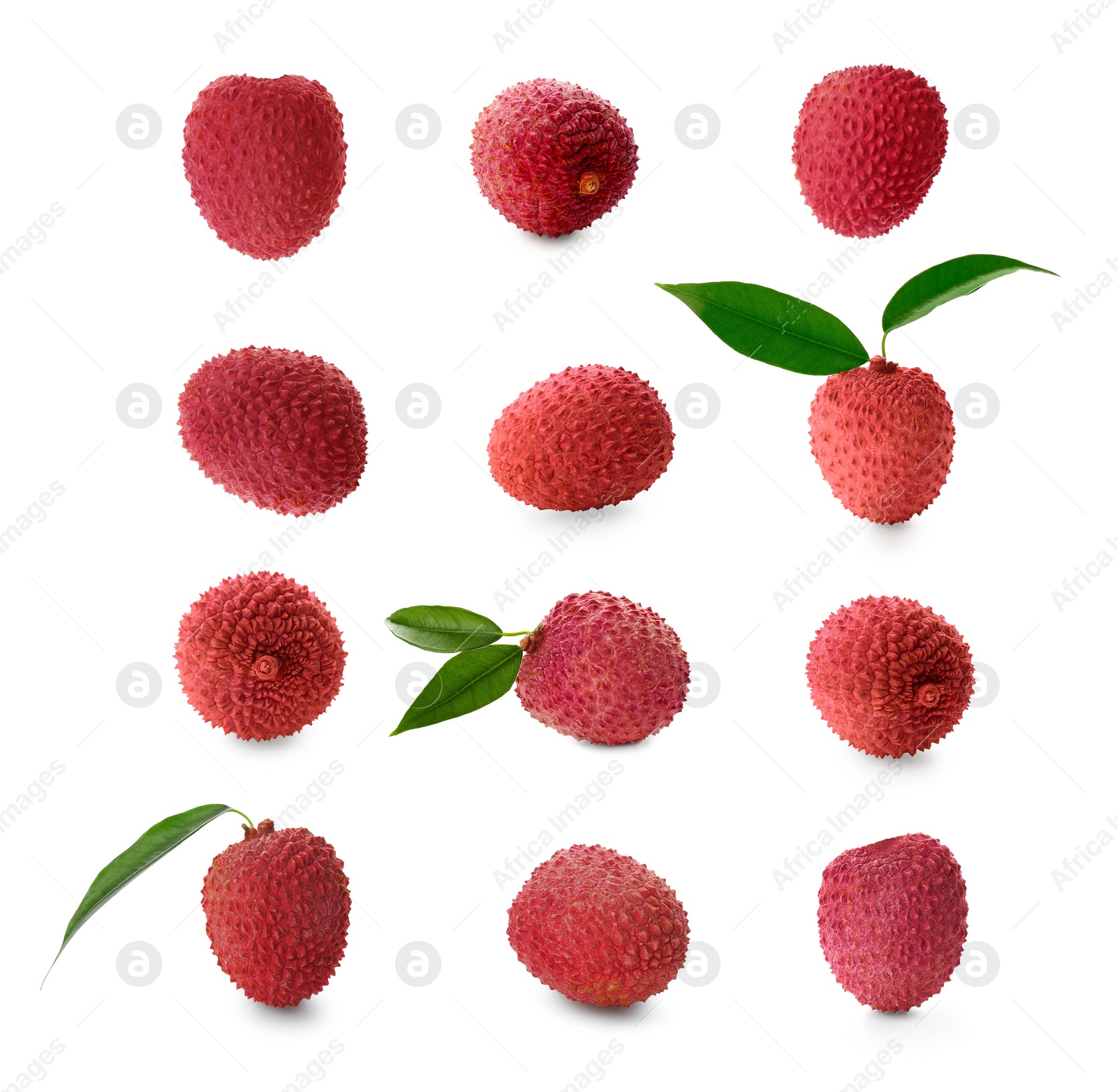 Image of Fresh lychees isolated on white, collection. Tropical fruit