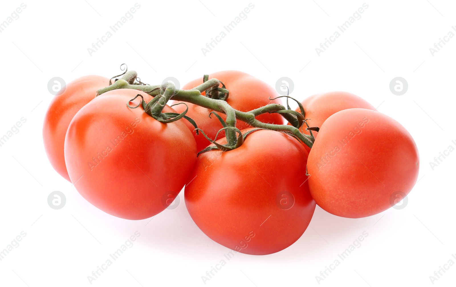 Photo of Branch of ripe red tomatoes on white background