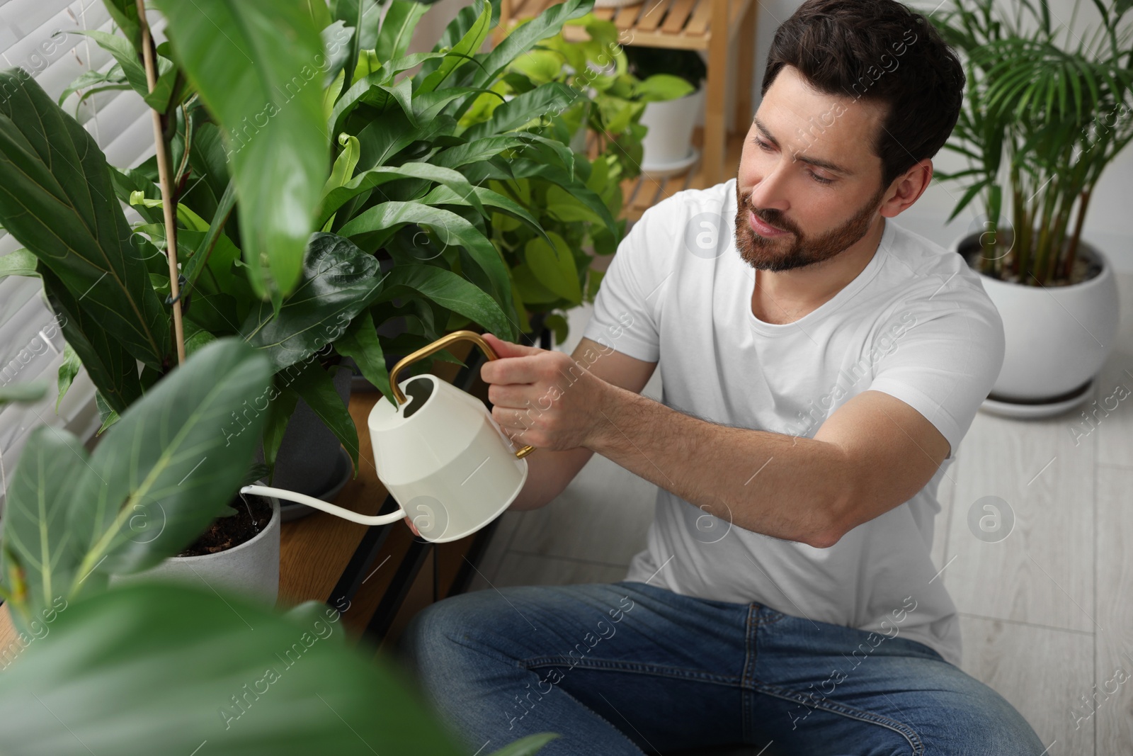 Photo of Man watering beautiful potted houseplants at home