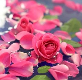 Photo of Pink roses and petals in bowl with water on table, closeup