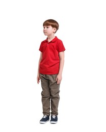 Little boy in red polo shirt and beige pants on white background