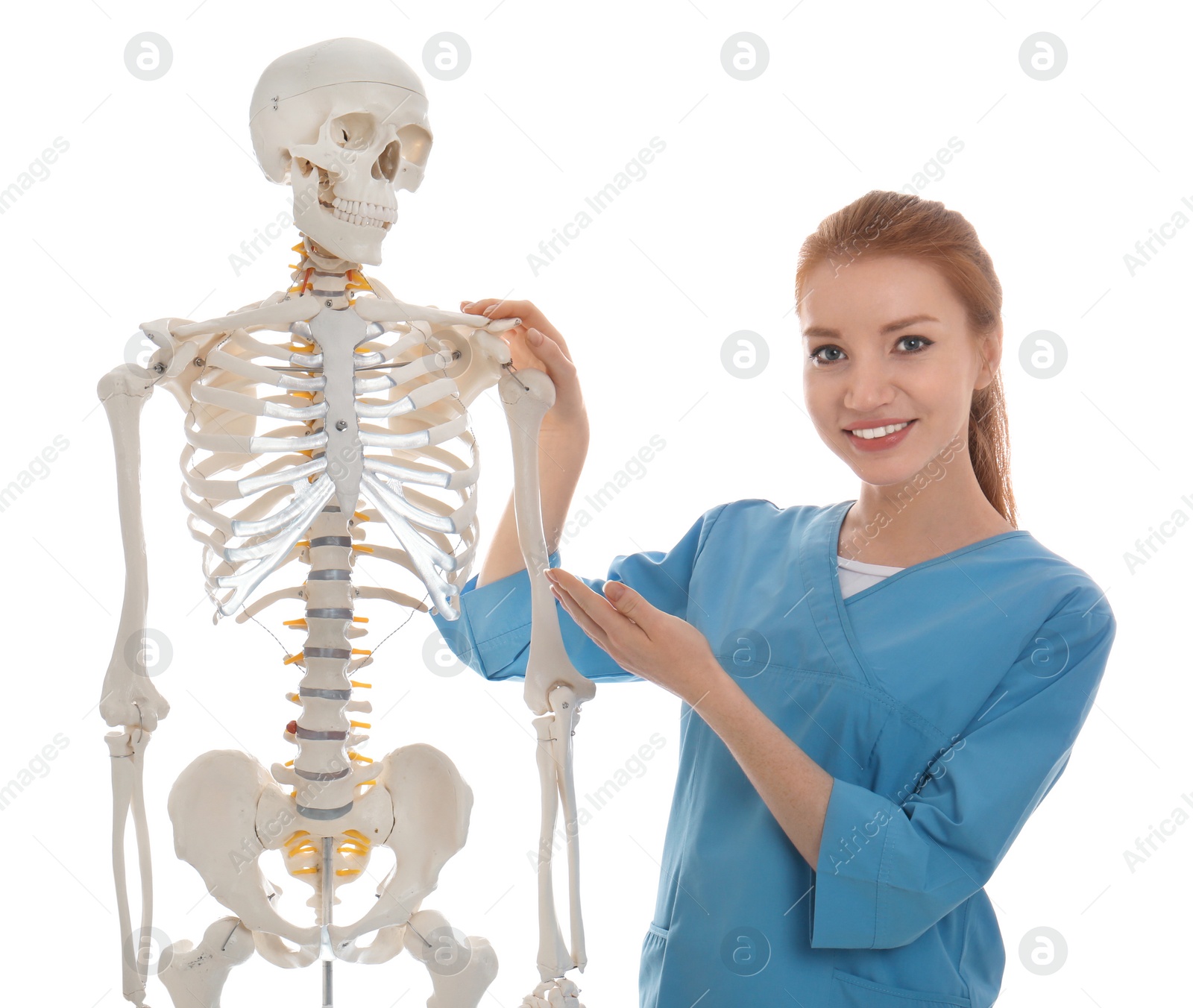 Photo of Female orthopedist with human skeleton model on white background