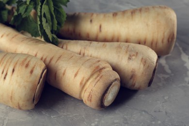 Many fresh ripe parsnips on grey marble table, closeup