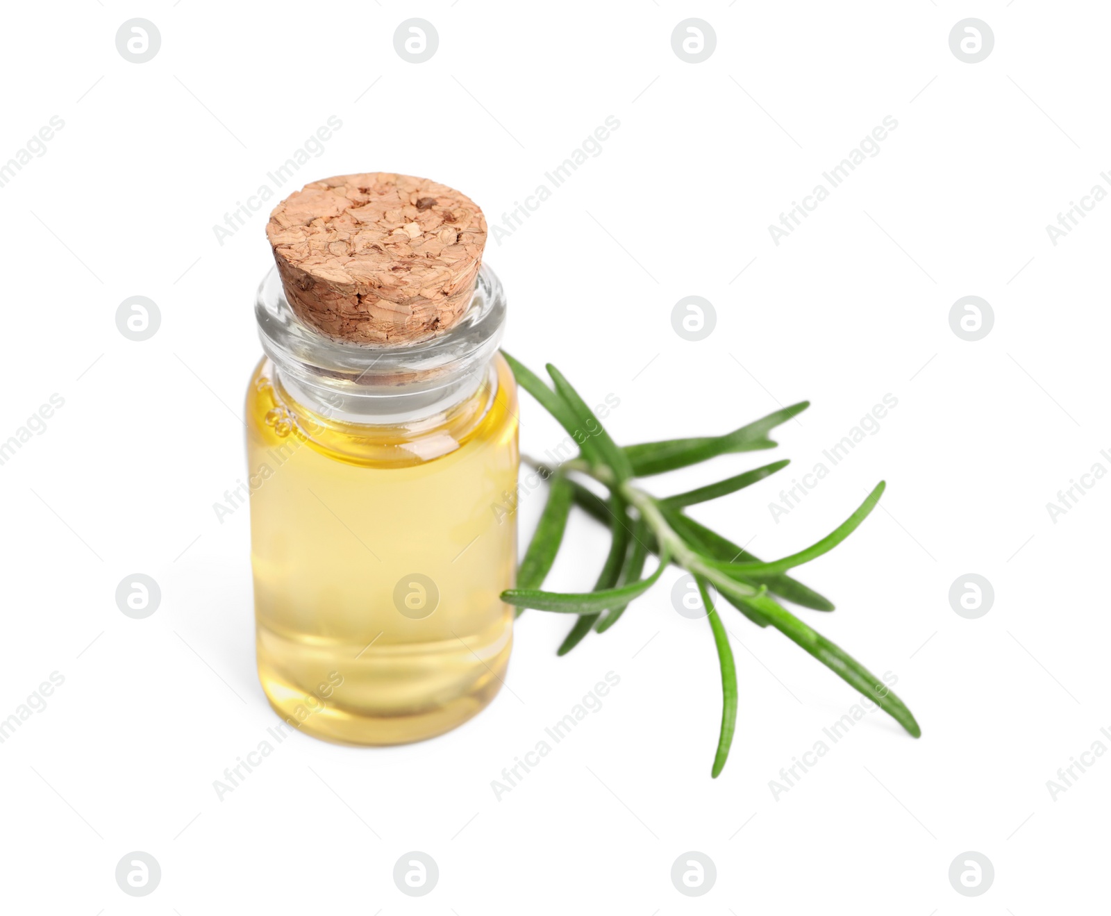 Photo of Sprig of fresh rosemary and essential oil on white background