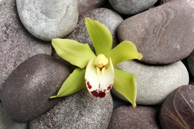 Photo of Beautiful orchid flower among spa stones, top view