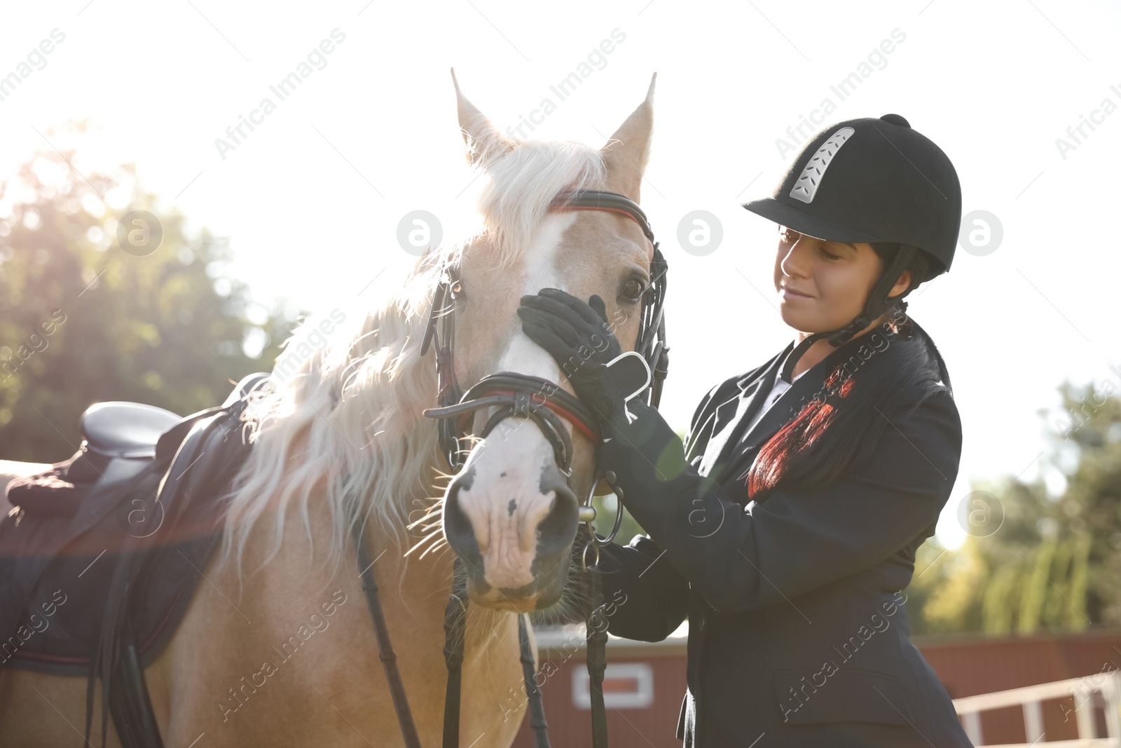 Photo of Young woman in horse riding suit and her beautiful pet outdoors on sunny day