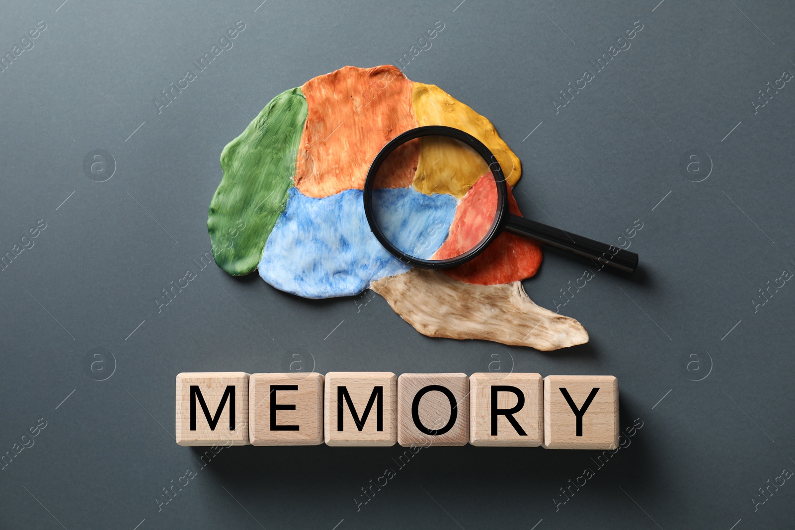 Photo of Word Amnesia made of wooden cubes, magnifying glass and brain with sections on grey background, flat lay