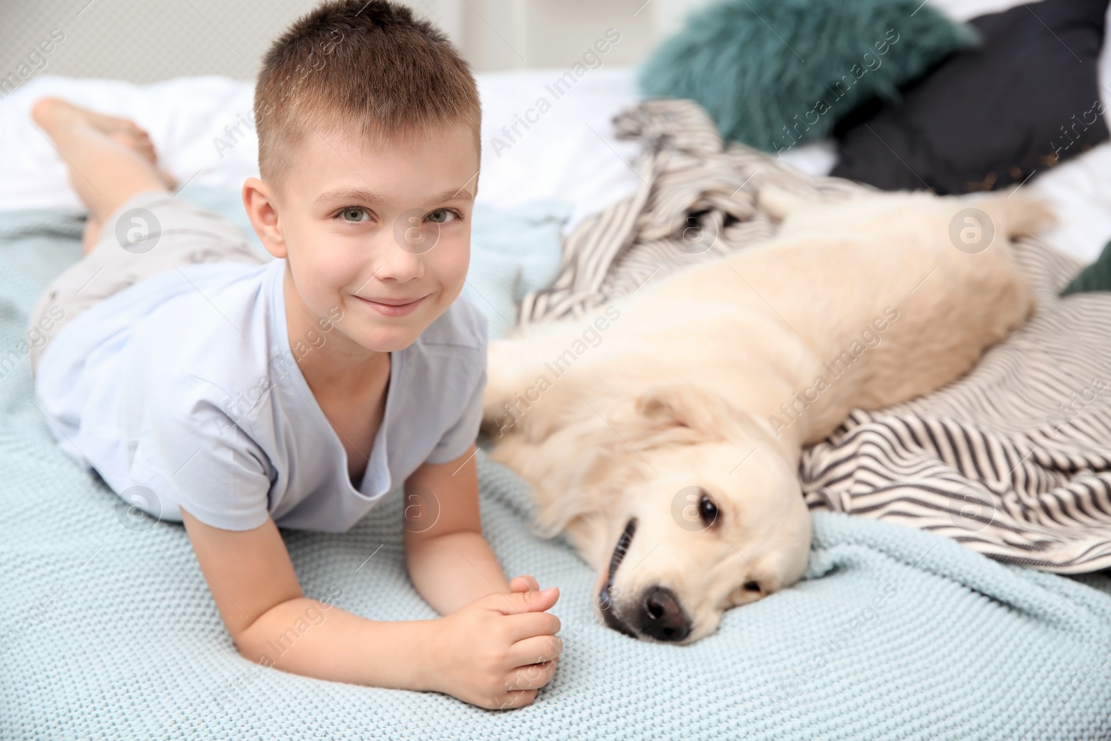 Photo of Cute little child with his pet on bed at home