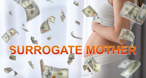 Image of Surrogacy concept. Closeup view of young pregnant woman and flying money near window at home