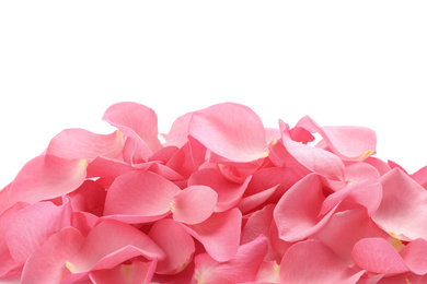 Photo of Pile of fresh pink rose petals on white background, top view