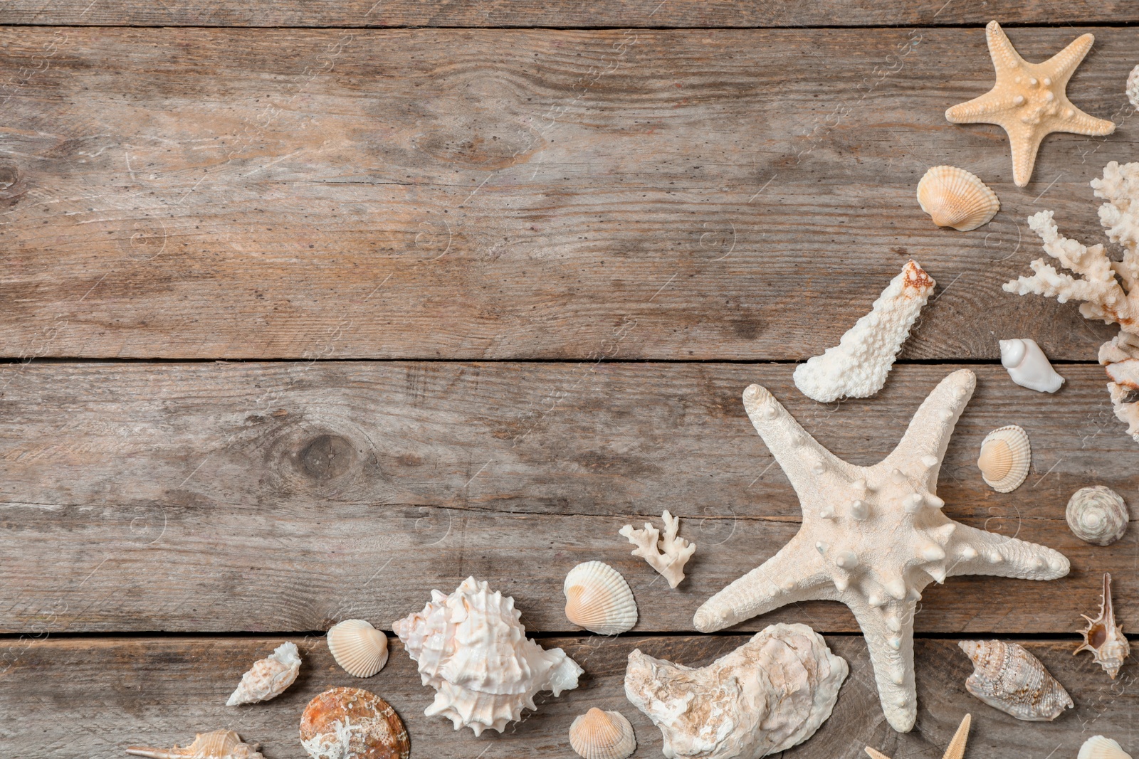 Photo of Flat lay composition with seashells on wooden background. Beach objects