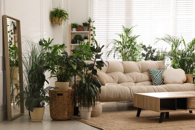 Stylish room interior with comfortable sofa and beautiful potted plants. Lounge zone