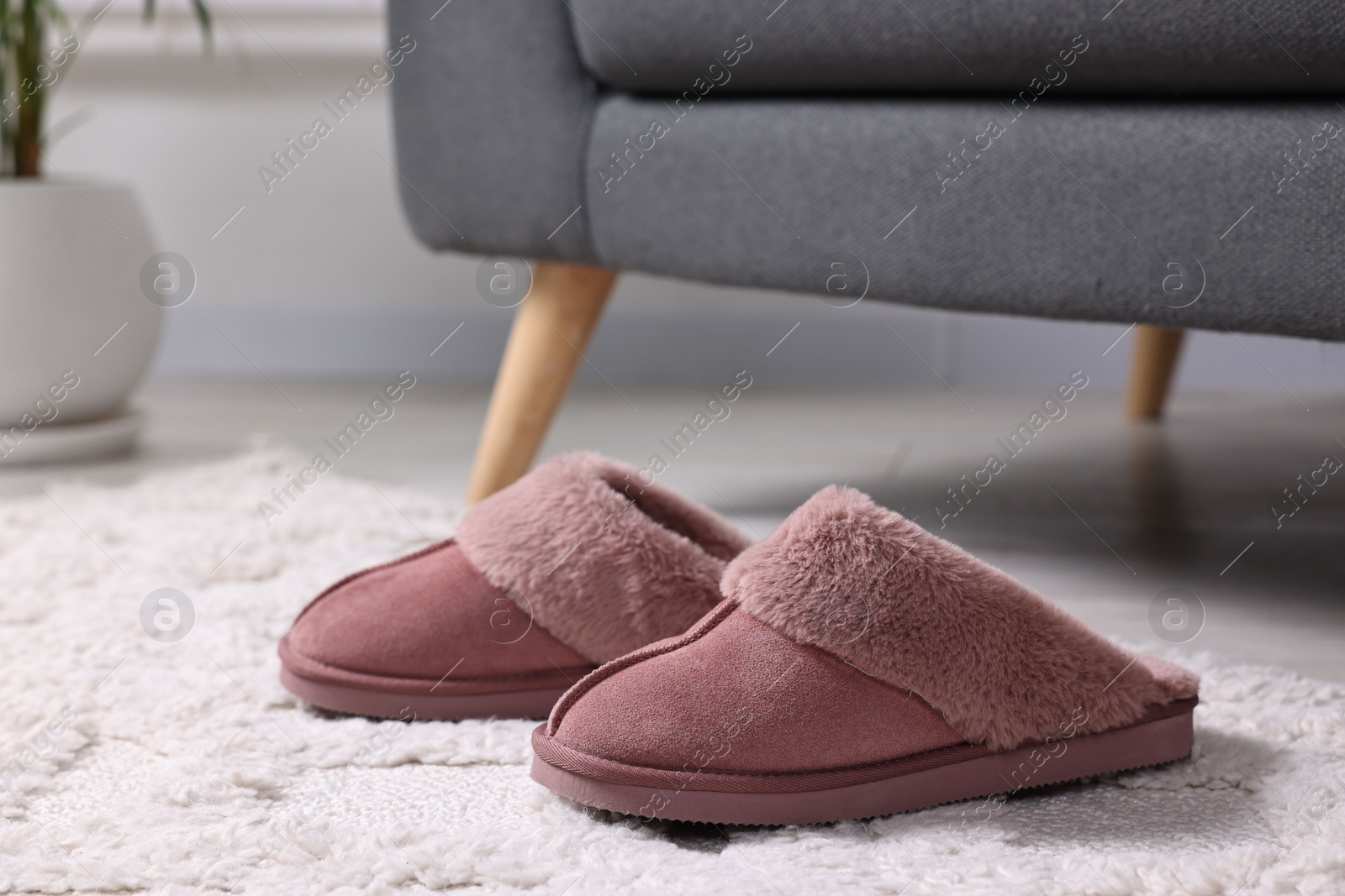 Photo of Pink soft slippers on carpet indoors, closeup