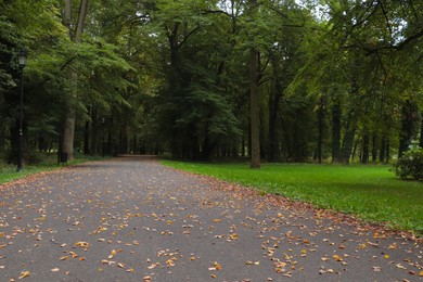 Photo of Beautiful public city park with many trees on autumn day