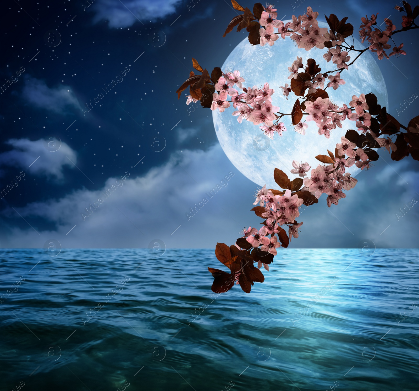 Image of Fantasy world. Blossoming cherry tree branch and full moon in starry sky over ocean