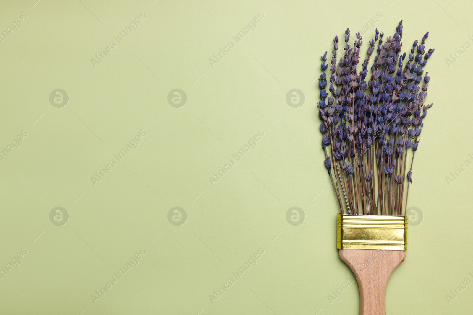 Photo of Creative flat lay composition with paint brush and lavender flowers on light green background. Space for text