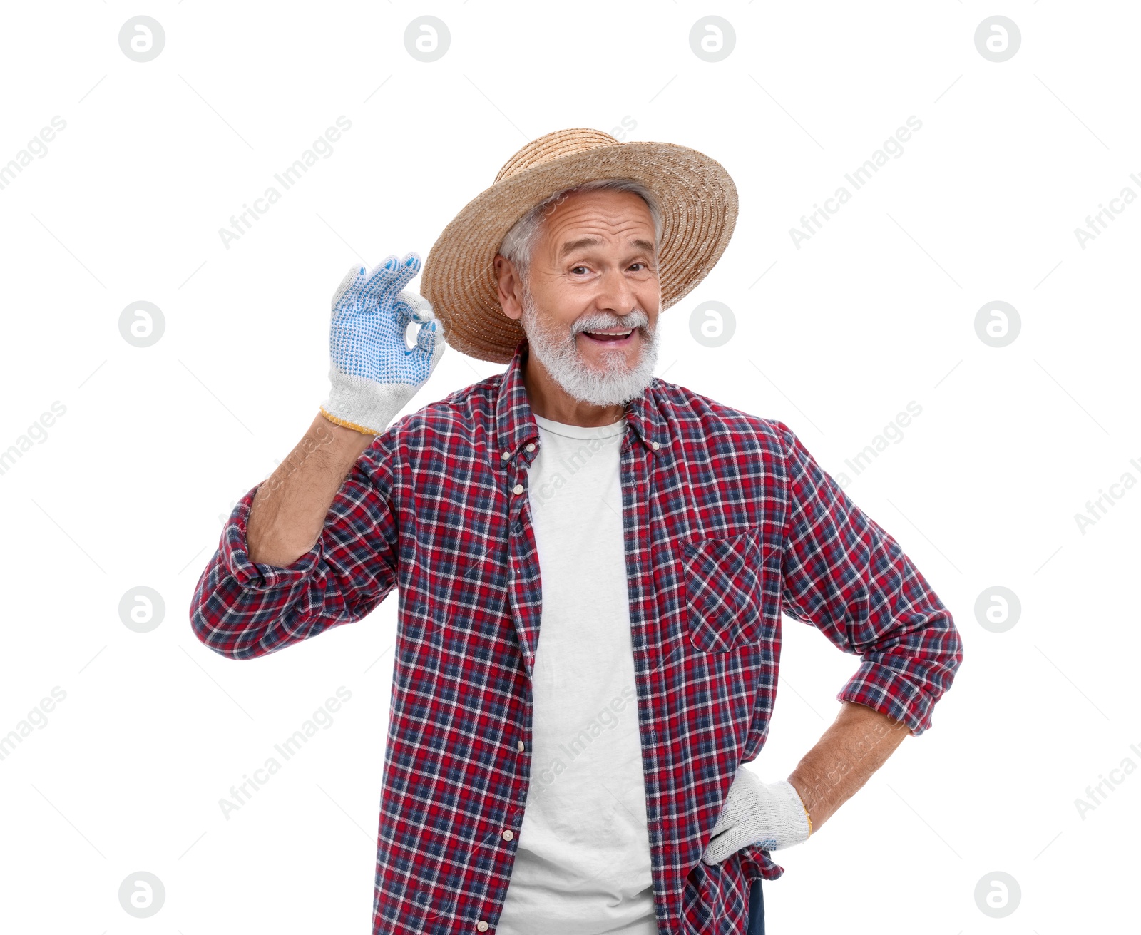 Photo of Harvesting season. Happy farmer showing ok gesture on white background