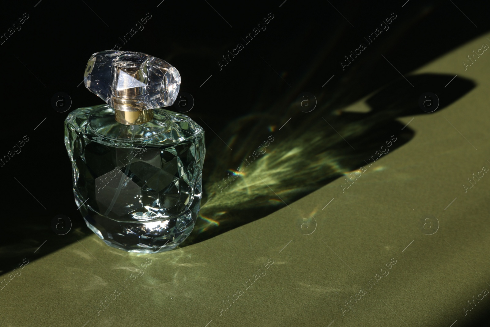 Photo of Luxury women's perfume. Sunlit glass bottle on olive background. Space for text