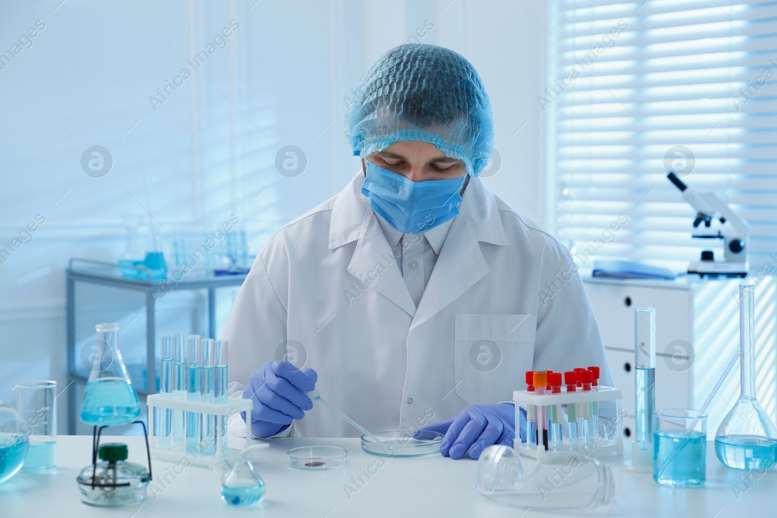 Photo of Scientist dripping sample into Petri dish in laboratory. Medical research
