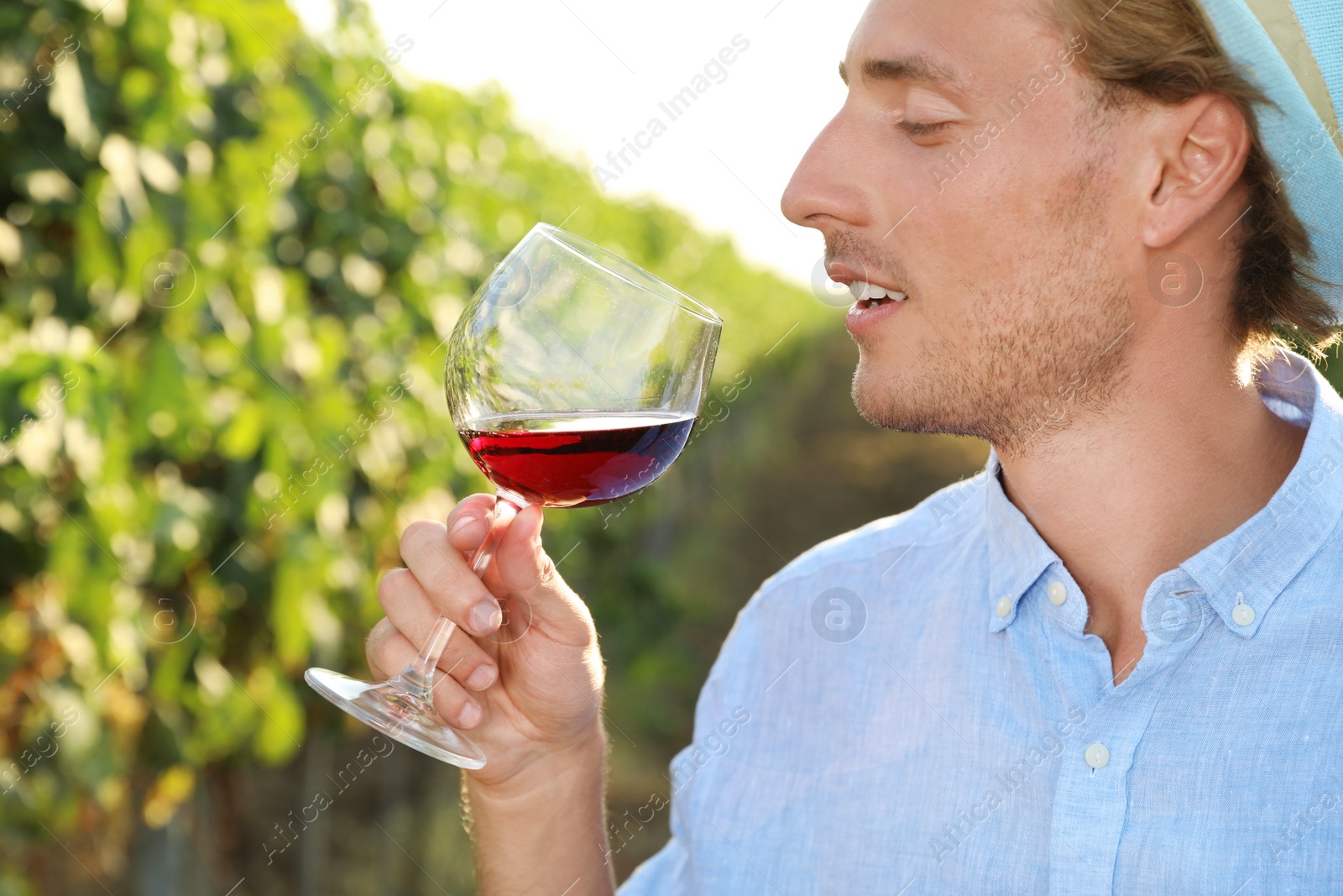 Photo of Young handsome man enjoying wine at vineyard on sunny day