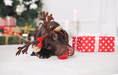 Photo of Cute dog wearing reindeer headband with Christmas ball in room