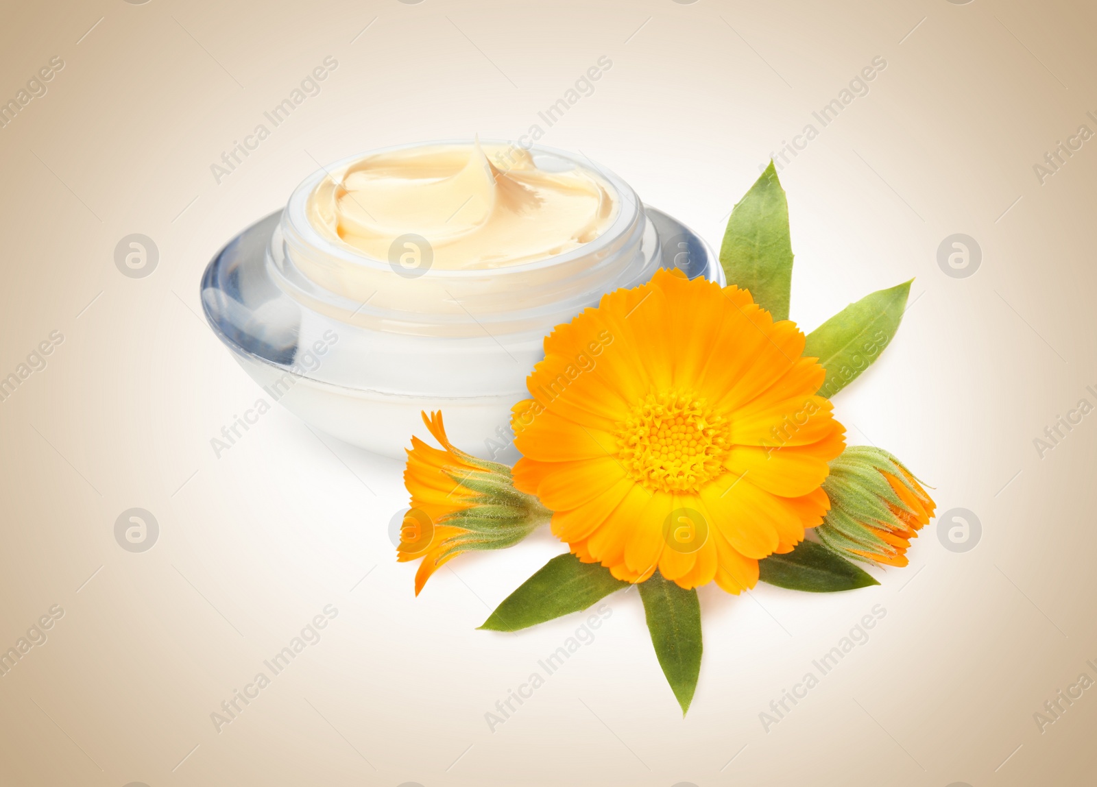 Image of Body cream with calendula extract on light background. Natural based cosmetic product