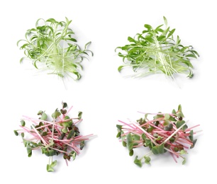 Image of Set of different fresh microgreens on white background