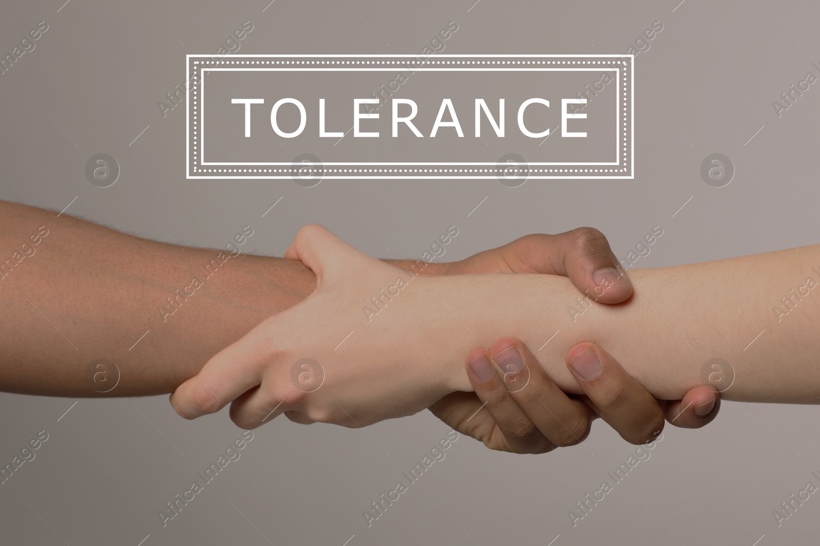 Image of Tolerance, support and cooperation concept. People of different races holding hands on light grey background, closeup