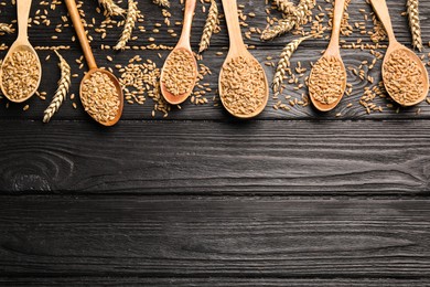 Spoons, wheat grains and spikelets on black wooden table, flat lay. Space for text